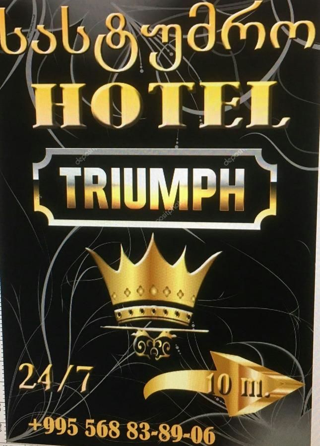 Отель Hotel Triumph Ninotsminda-31
