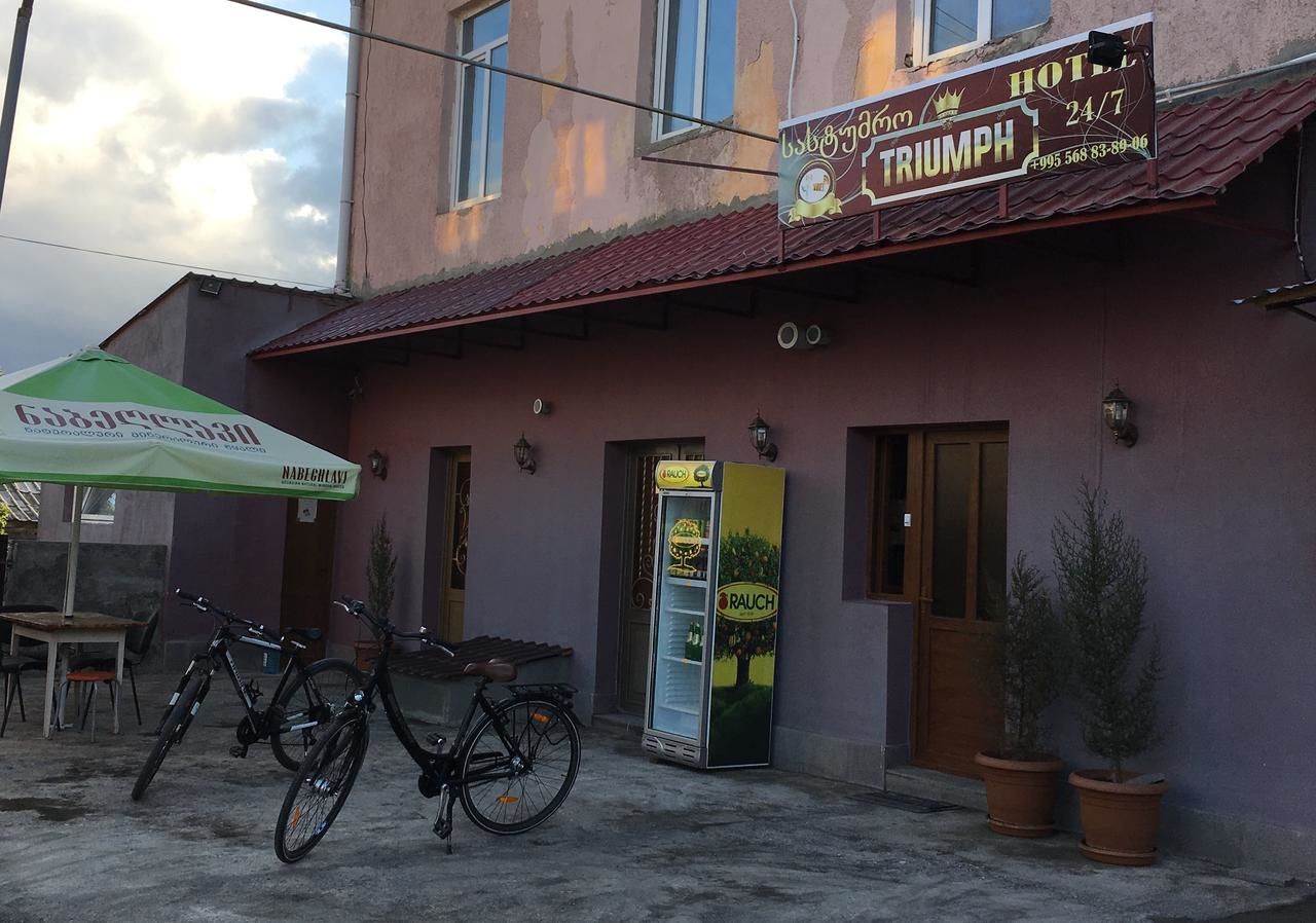 Отель Hotel Triumph Ninotsminda-32